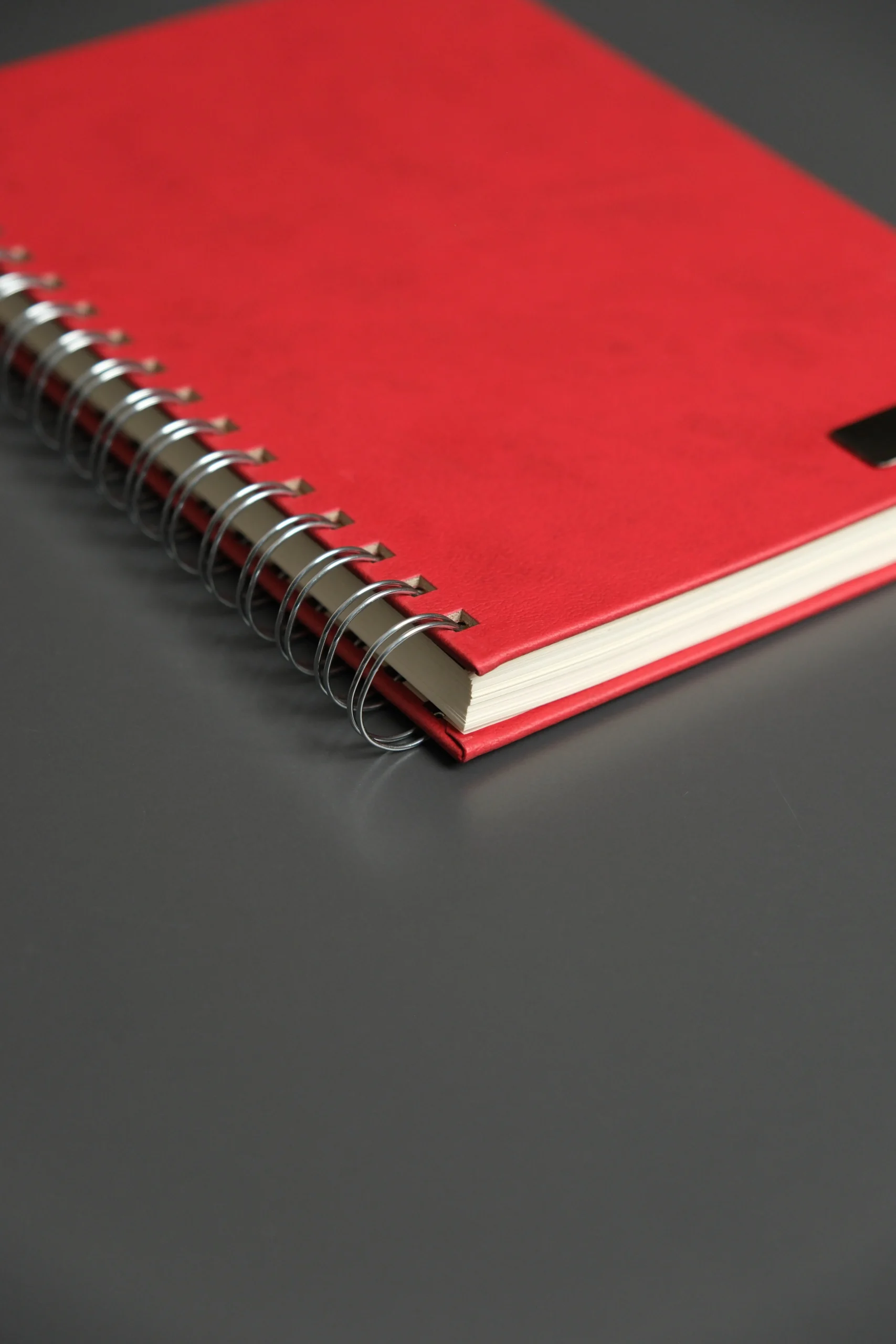 Kişiye Özel Kırmızı Düz Vegan Deri Spiralli 240 Sayfa Çizgili Not Defteri - Görsel 5