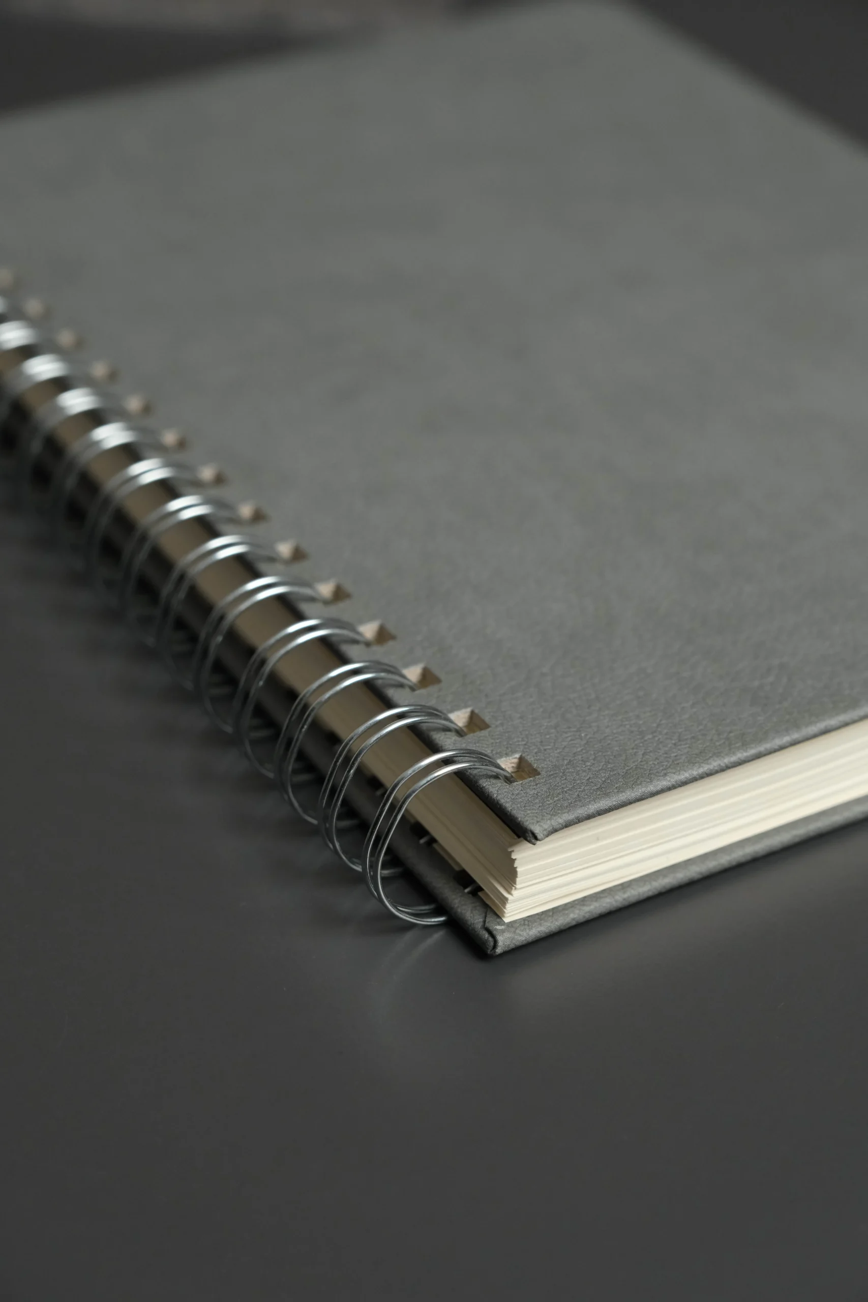 Kişiye Özel Gri Düz Vegan Deri Spiralli 240 Sayfa Çizgili Not Defteri - Görsel 5